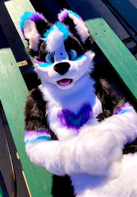 furry hmv|/r/furry: Reddit's furry subreddit!.